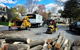 How Our Tree Care Process Works  in Suncrest, WA